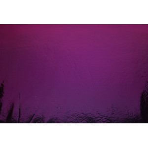 Dichroic Mørk Rosa - Pink 1,5mm