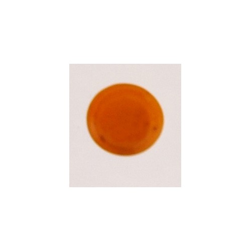 Float Dot, Orange 2025 Opak Rund Ø8mm