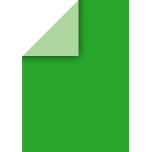 Color Bar, ensfarvet grøn, 21x30cm, 100g, 10 ark